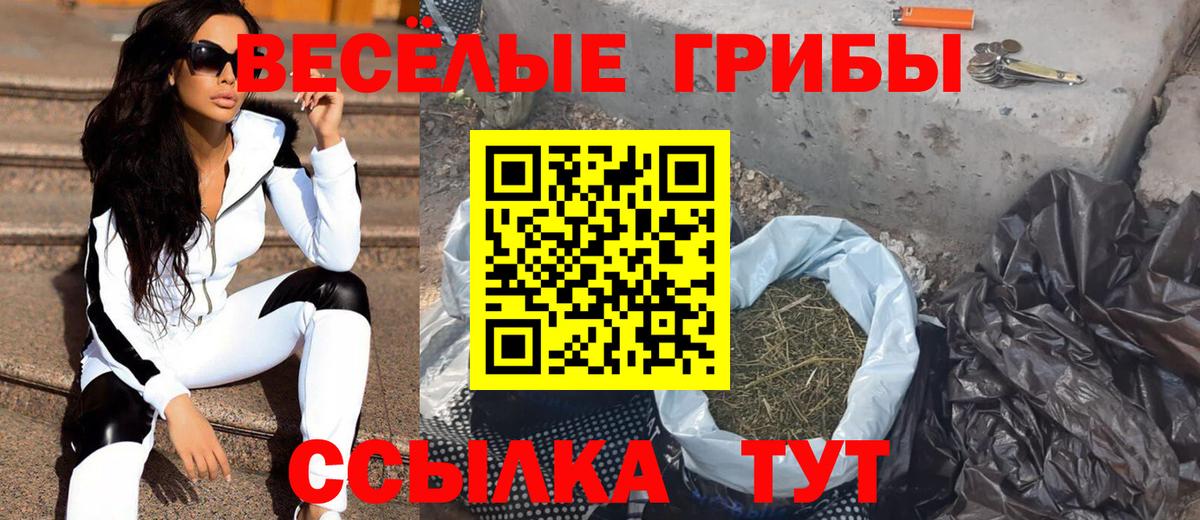 Псилоцибиновые грибы GOLDEN TEACHER  Вход с VPN  Орёл 